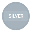 Silver Sponsor